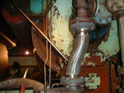 Steam Piping Flexible